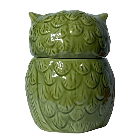 Owl Canister Jar Decorative Storage Hand Painted Ceramic Green Functional Art - Picture 4 of 16